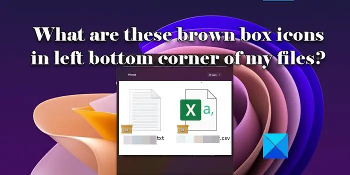 What are these brown box icons in left bottom corner of my files